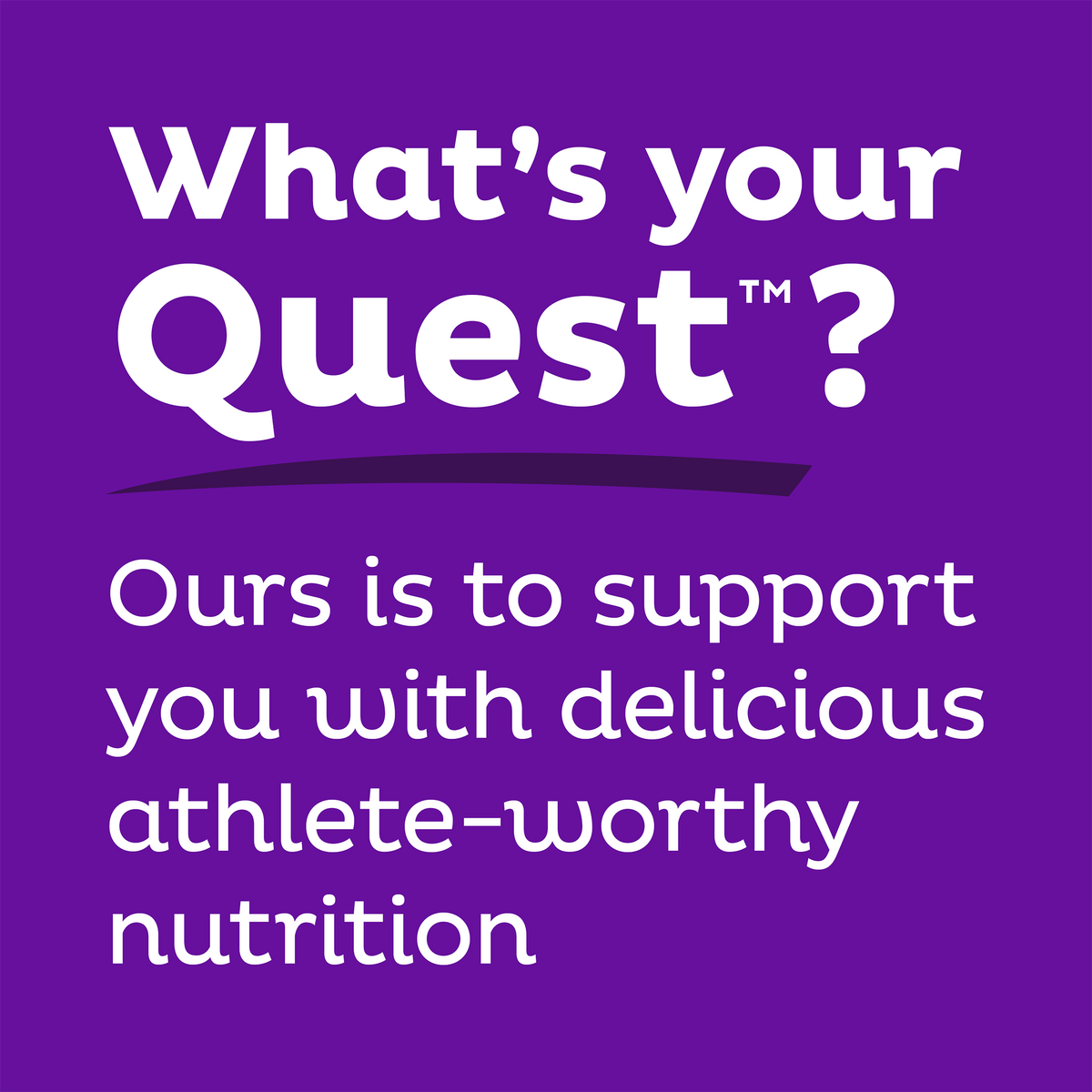 double-chocolate-chunk-protein-bars-t2 qst-000241_double-chocolate-chunk-protein-bars_9.png